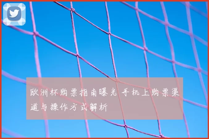 欧洲杯购票指南曝光 手机上购票渠道与操作方式解析