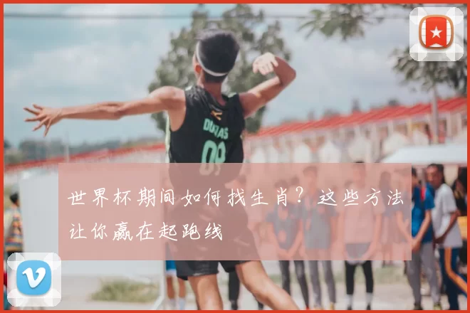 世界杯期间如何找生肖？这些方法让你赢在起跑线