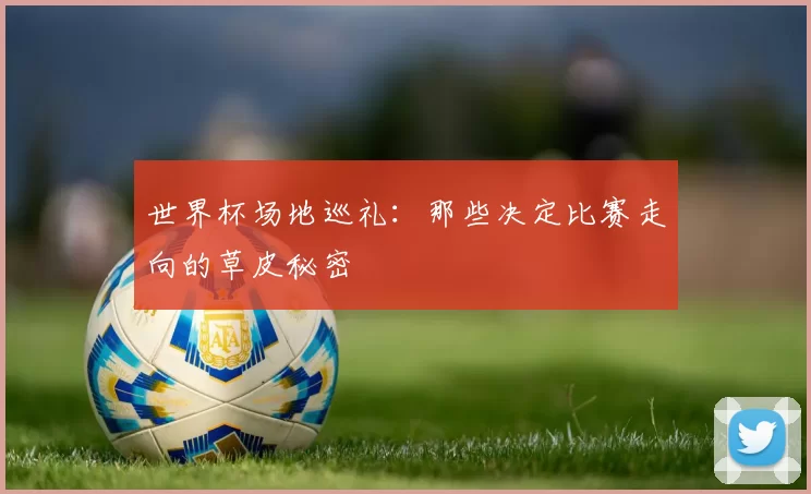 世界杯场地巡礼：那些决定比赛走向的草皮秘密