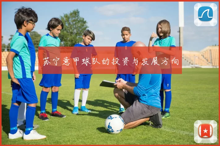 苏宁意甲球队的投资与发展方向