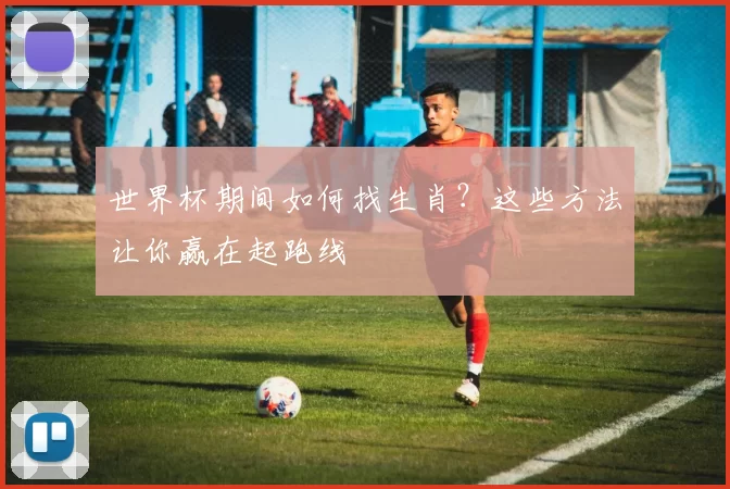 世界杯期间如何找生肖？这些方法让你赢在起跑线