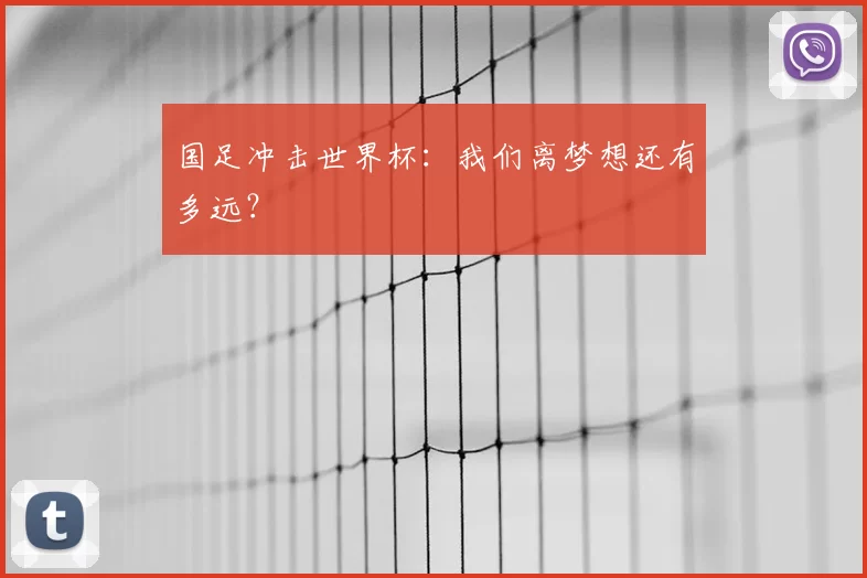国足冲击世界杯：我们离梦想还有多远？
