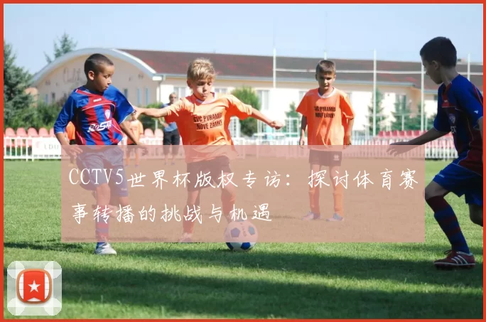 CCTV5世界杯版权专访:探讨体育赛事转播的挑战与机遇