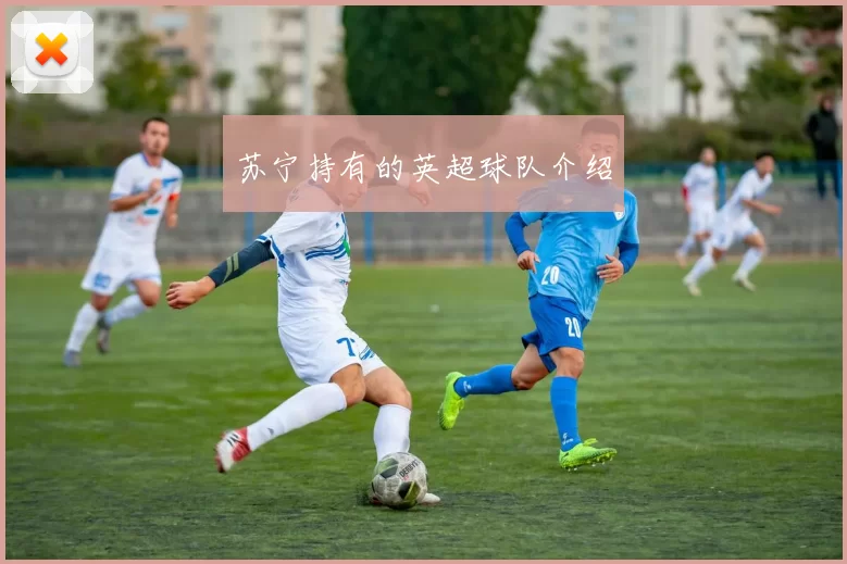 苏宁持有的英超球队介绍