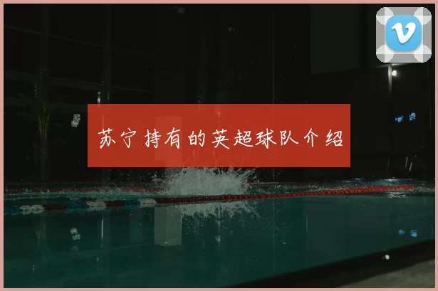 苏宁持有的英超球队介绍