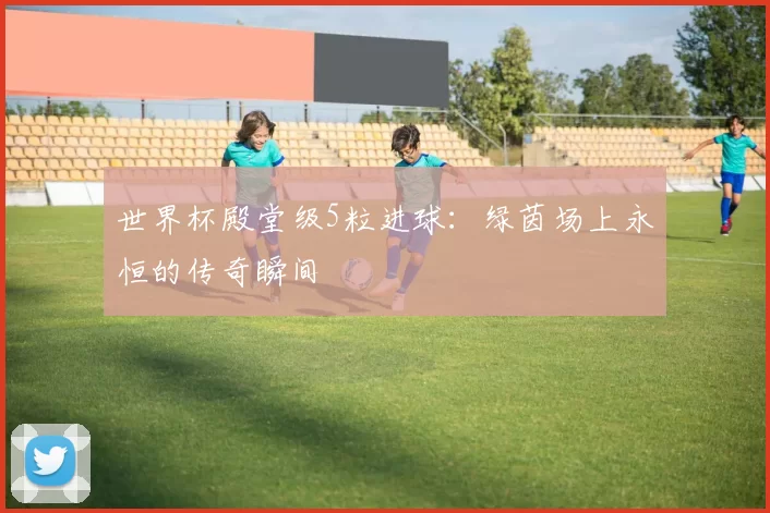 世界杯殿堂级5粒进球：绿茵场上永恒的传奇瞬间