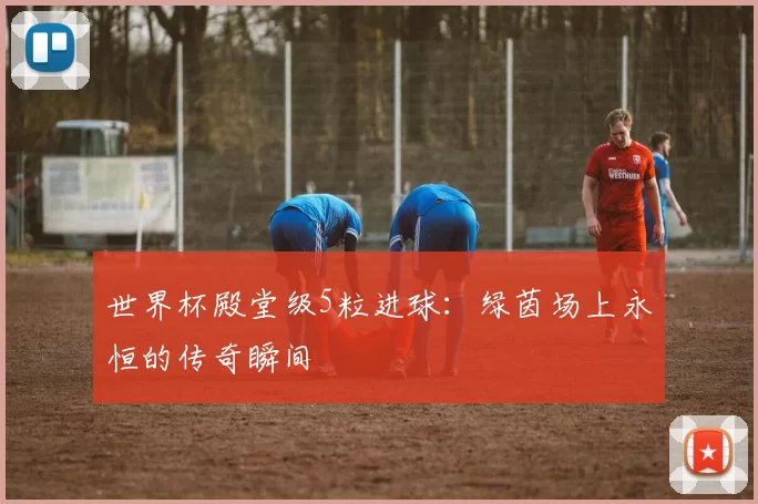 世界杯殿堂级5粒进球：绿茵场上永恒的传奇瞬间