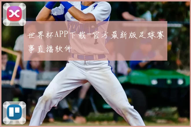 世界杯APP下载-官方最新版足球赛事直播软件