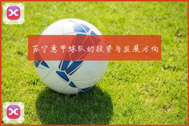 苏宁意甲球队的投资与发展方向