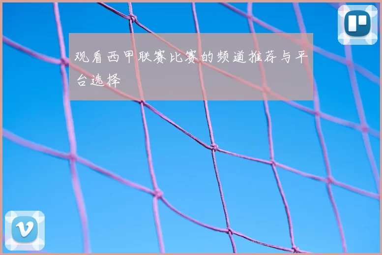 观看西甲联赛比赛的频道推荐与平台选择