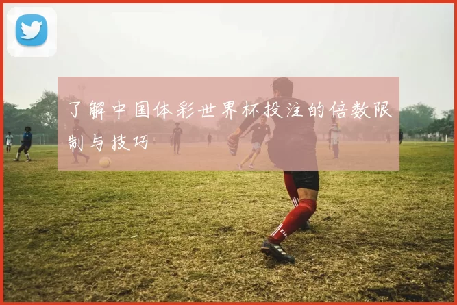 了解中国体彩世界杯投注的倍数限制与技巧