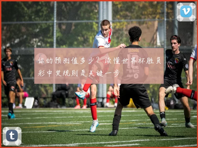 你的预测值多少？读懂世界杯胜负彩中奖规则是关键一步