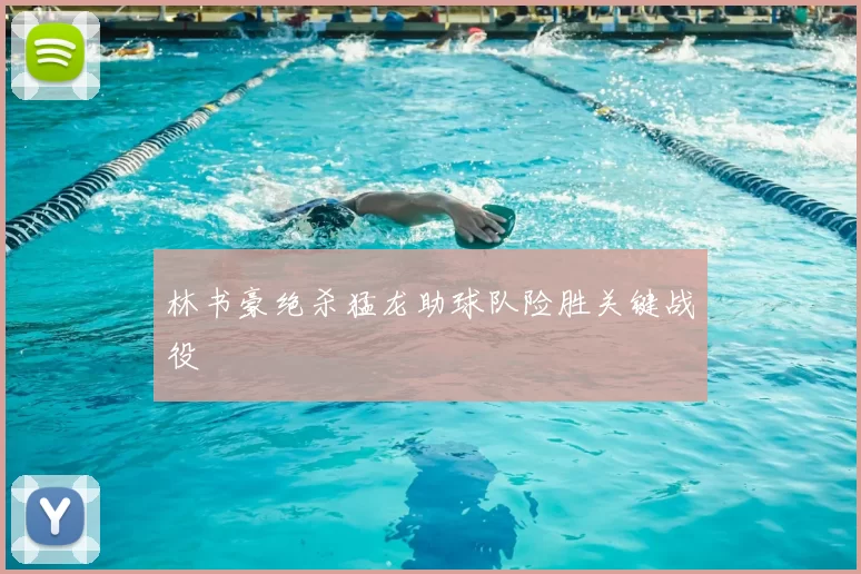 林书豪绝杀猛龙助球队险胜关键战役