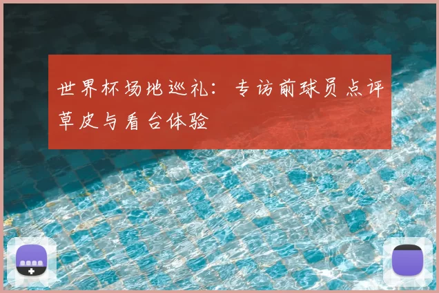 世界杯场地巡礼：专访前球员点评草皮与看台体验