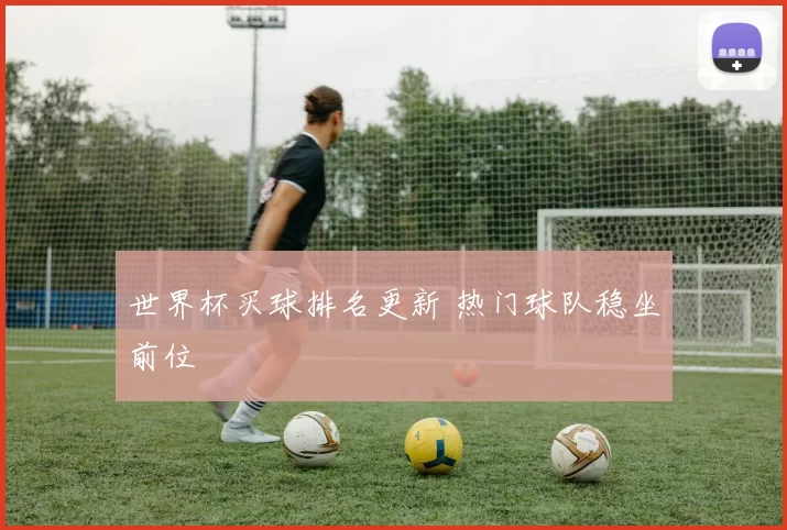 世界杯买球排名更新 热门球队稳坐前位