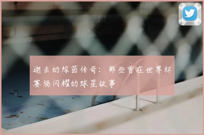 逝去的绿茵传奇：那些曾在世界杯赛场闪耀的球星故事