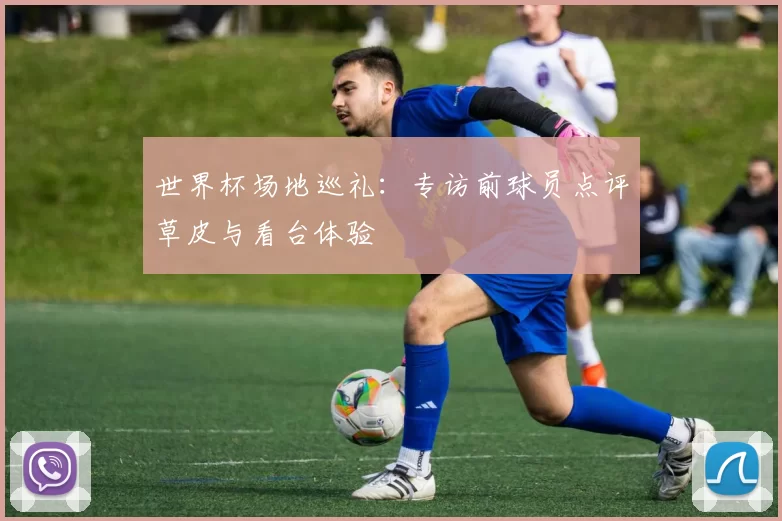 世界杯场地巡礼：专访前球员点评草皮与看台体验